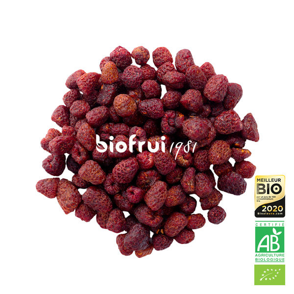 Framboise des alpes dinariques séchée bio - 2